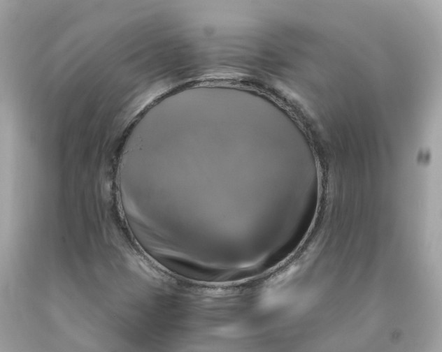 X0000091481401200709061829