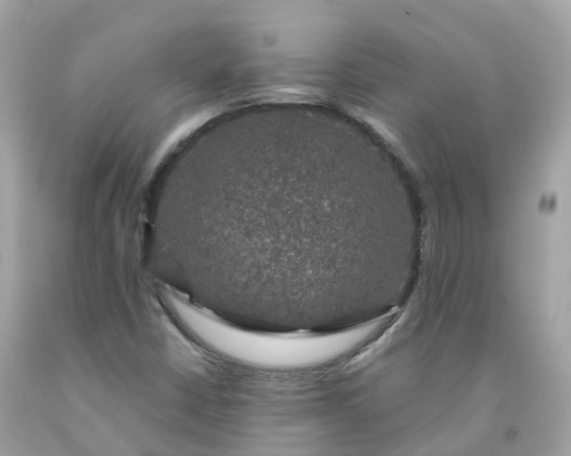 X0000091481402200709061829