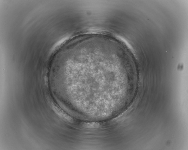 X0000091481403200709061829