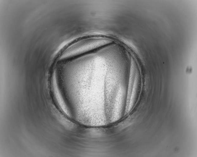 X0000091481404200709061829