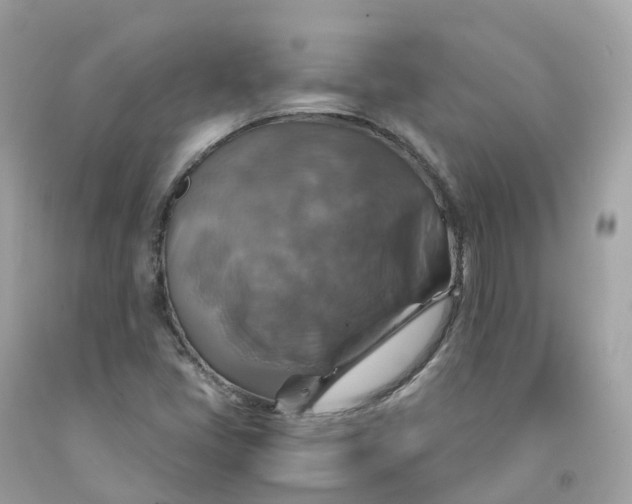 X0000091481405200709061829