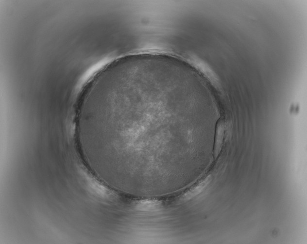 X0000091481406200709061829