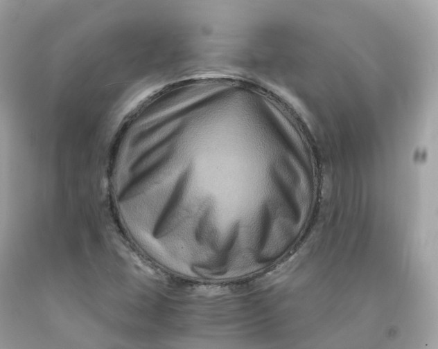 X0000091481407200709061829