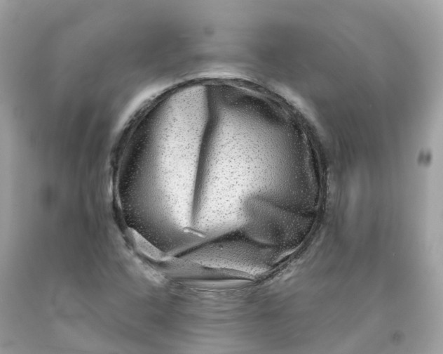 X0000091481408200709061829