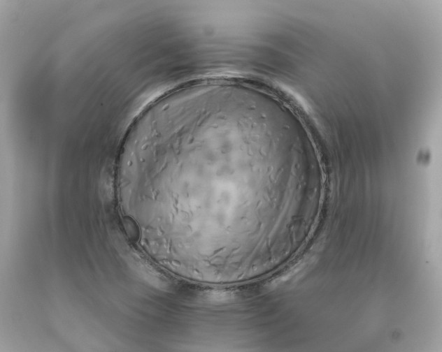 X0000091481409200709061829