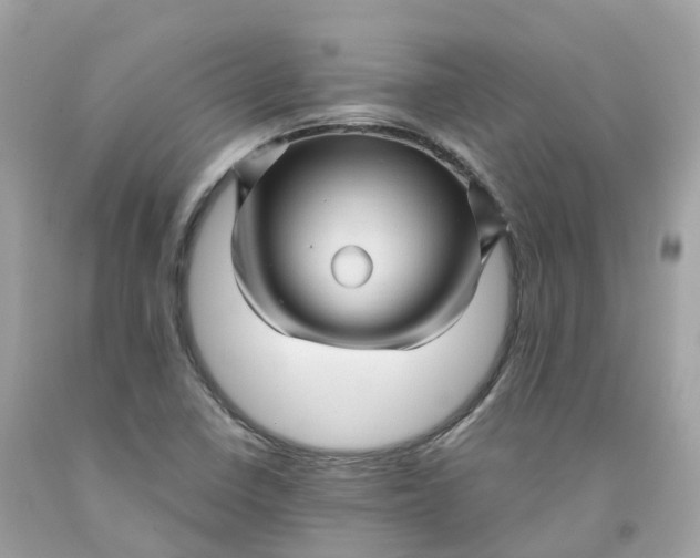 X0000091481410200709061829