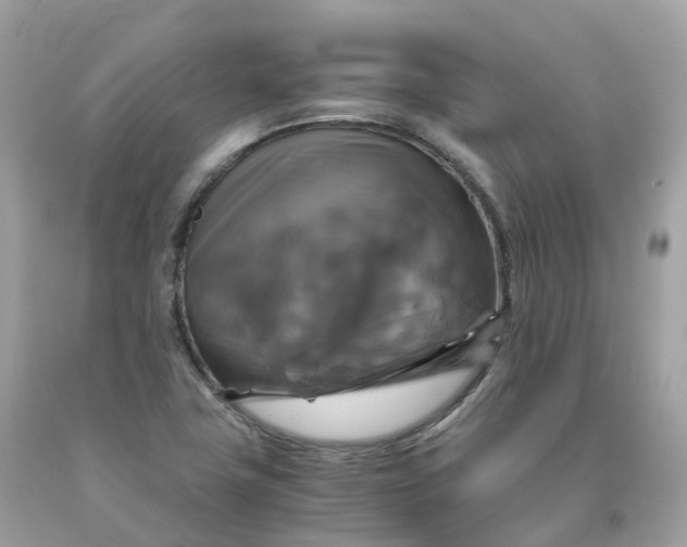 X0000091481411200709061829