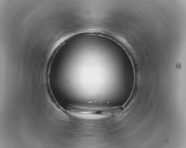 X0000091481412200709061829