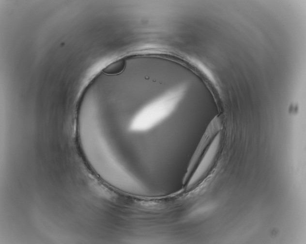 X0000091481413200709061829