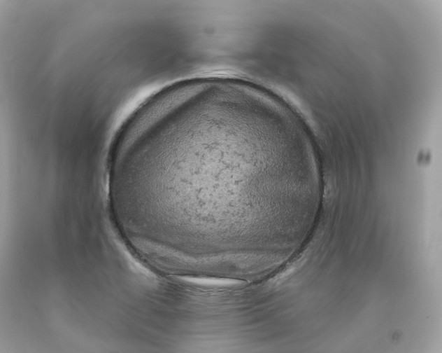 X0000091481414200709061829