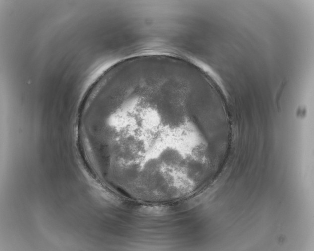 X0000091481415200709061829