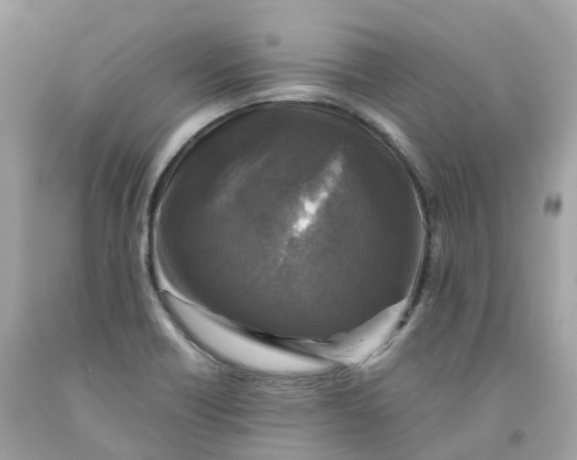 X0000091481418200709061829