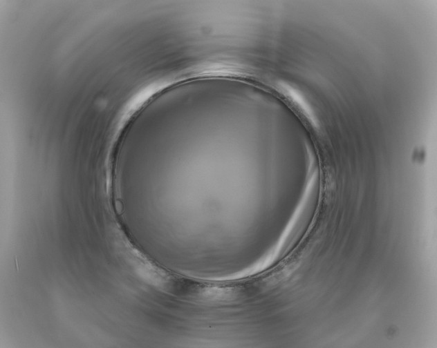 X0000091481419200709061829