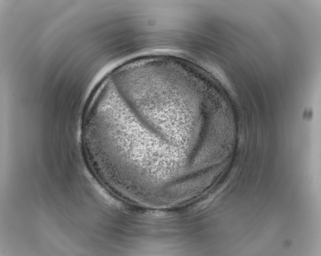 X0000091481420200709061829