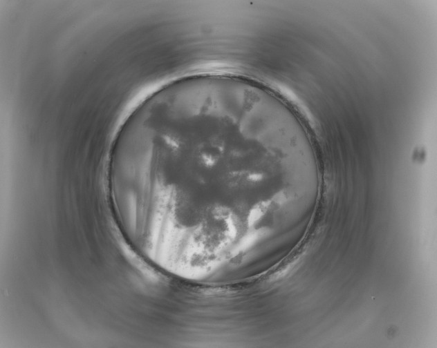 X0000091481421200709061829