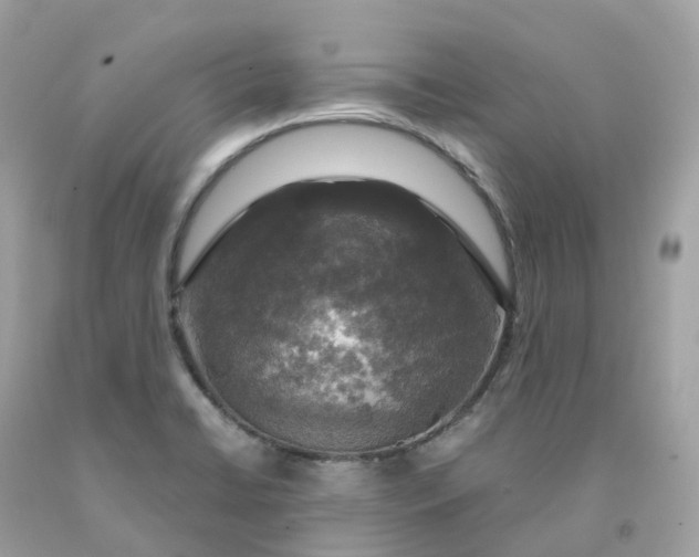 X0000091481422200709061829