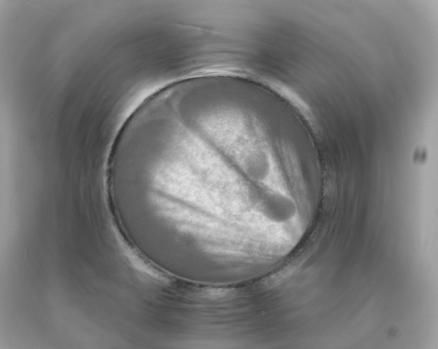 X0000091481423200709061829