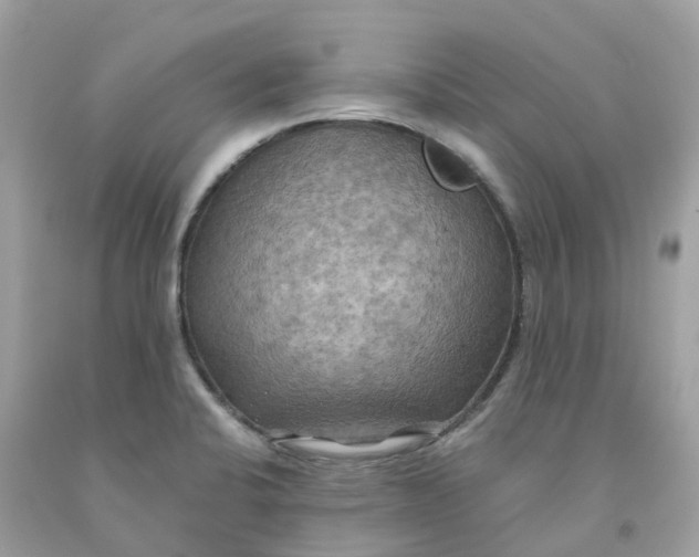 X0000091481424200709061829