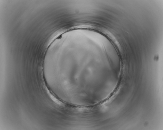 X0000091481425200709061829