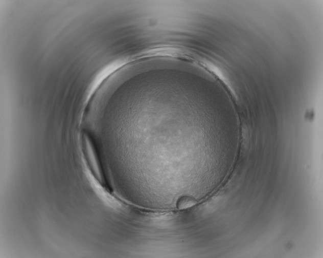 X0000091481426200709061829