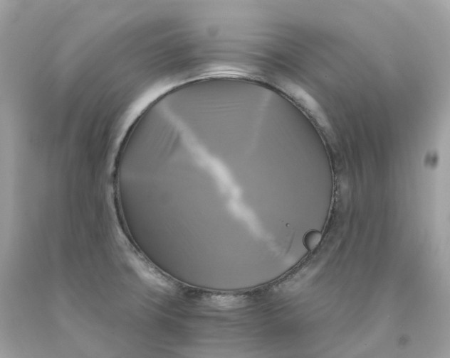 X0000091481427200709061829