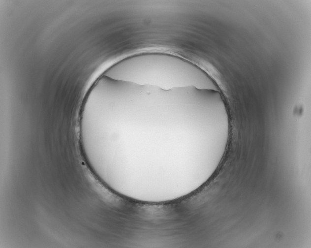 X0000091481428200709061829