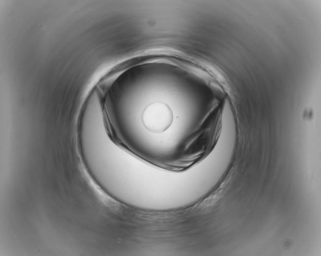 X0000091481430200709061829