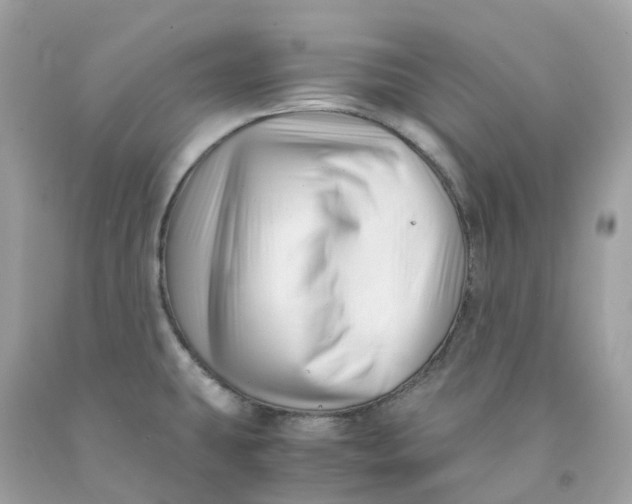 X0000091481431200709061829