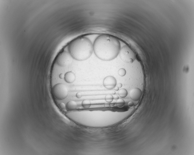 X0000091481432200709061829