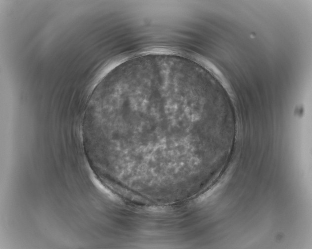 X0000091481433200709061829