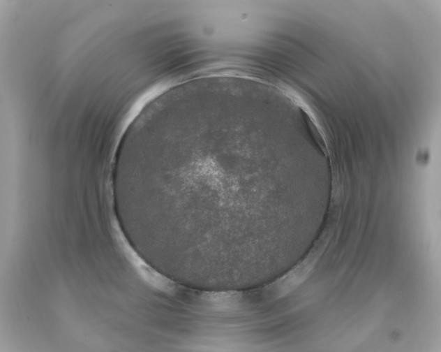 X0000091481434200709061829