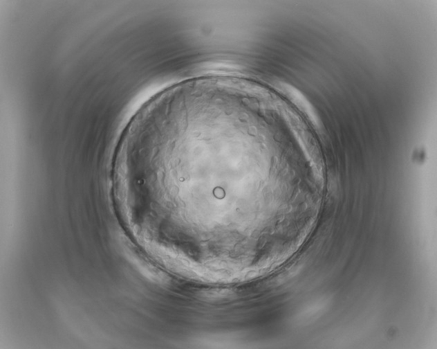 X0000091481435200709061829