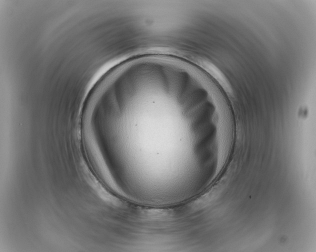 X0000091481436200709061829