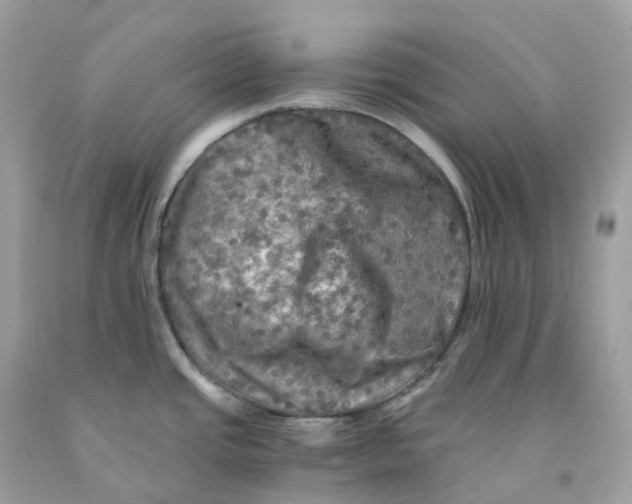 X0000091481437200709061829