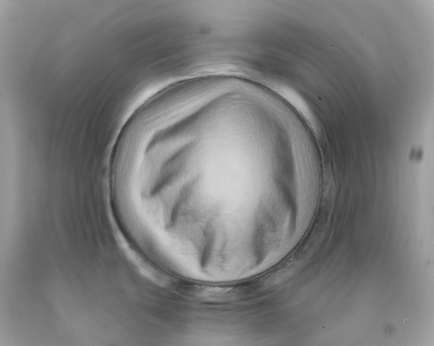 X0000091481439200709061829