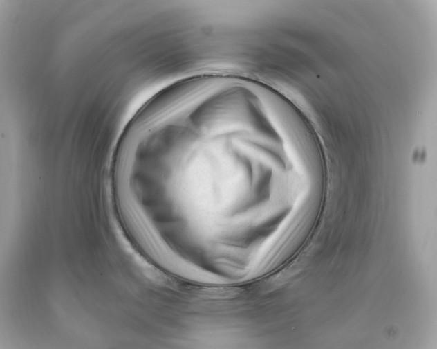 X0000091481440200709061829