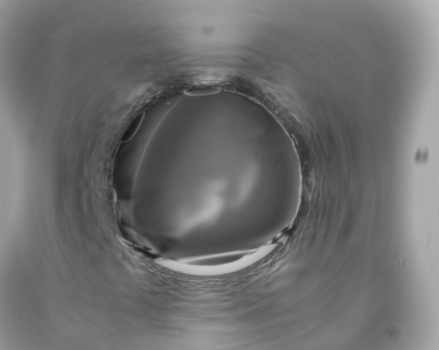 X0000091481441200709061829