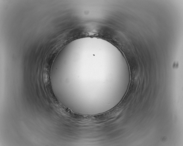 X0000091481442200709061829