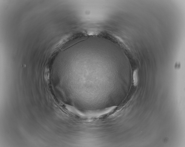 X0000091481443200709061829