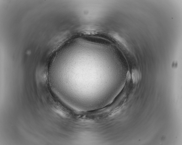 X0000091481444200709061829