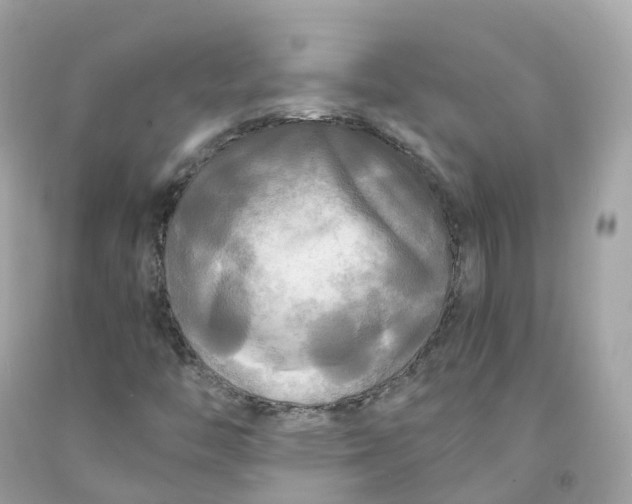 X0000091481446200709061829