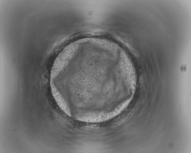 X0000091481447200709061829