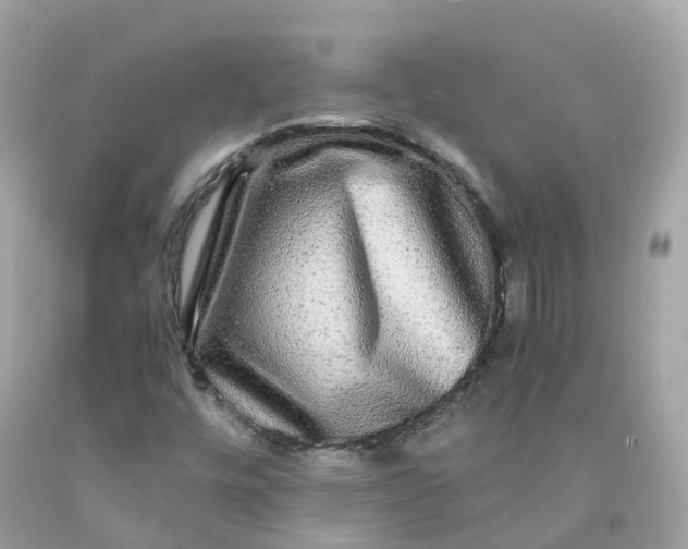 X0000091481448200709061829