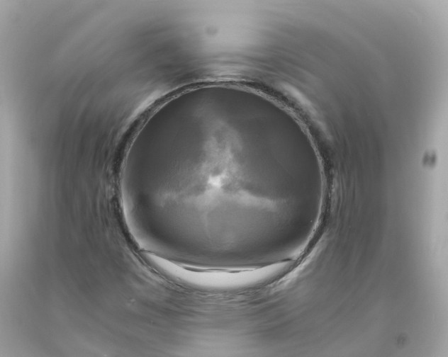 X0000091481449200709061829