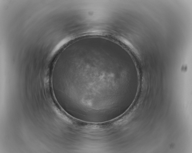 X0000091481450200709061829