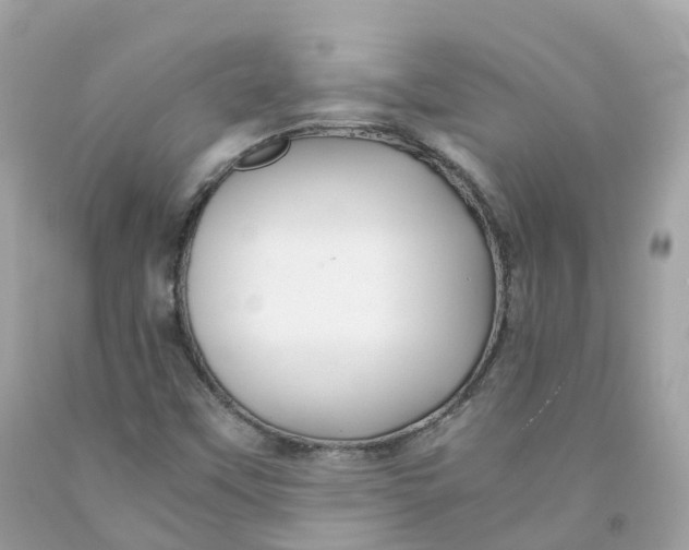 X0000091481451200709061829