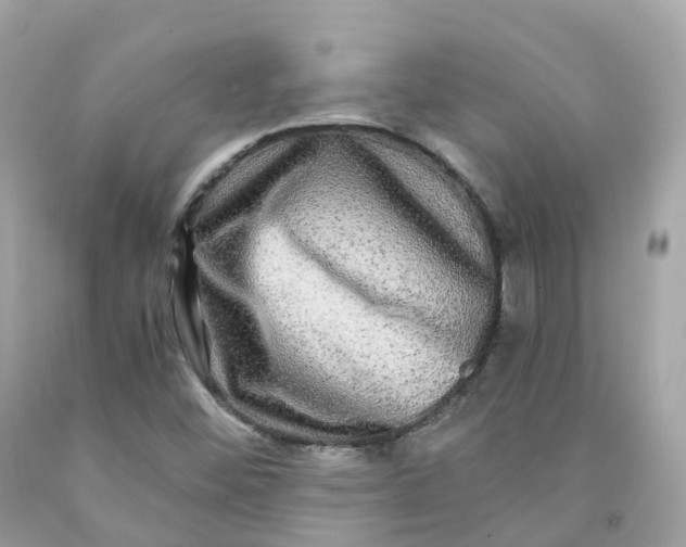 X0000091481452200709061829