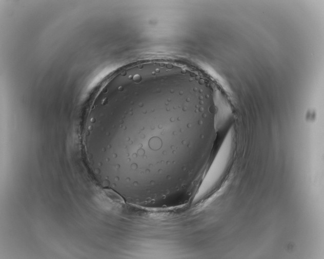 X0000091481453200709061829