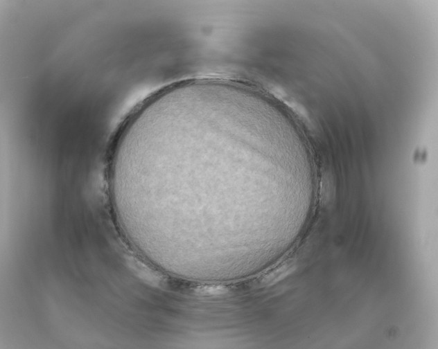 X0000091481454200709061829