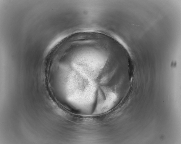 X0000091481456200709061829